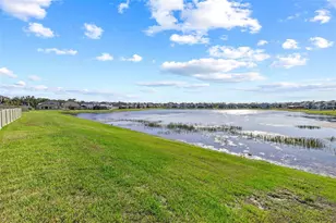 3071 Marine Grass Dr, Wimauma, FL 33598 - Photo 53