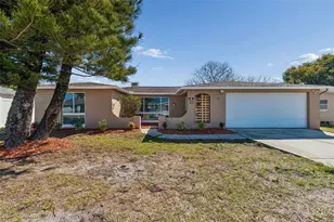 10110 Brandywine Ln, Port Richey, FL 34668 - Photo 61