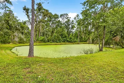 13887 Gavin Road, Dover, FL 33527 - Photo 63