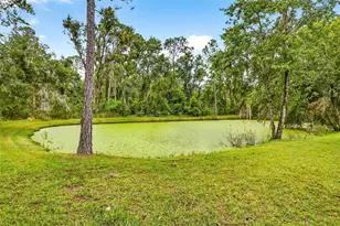 13887 Gavin Rd, Dover, FL 33527 - Photo 63