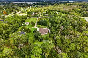 13887 Gavin Rd, Dover, FL 33527 - Photo 71