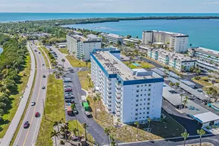 7 Elgin Pl, Dunedin, FL 34698 - Photo 31