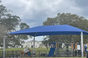 10482 Quail Grv Wy, San Antonio, FL 33576 - Photo 61