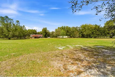 1353 Cr 738E, Webster, FL 33597 - Photo 19