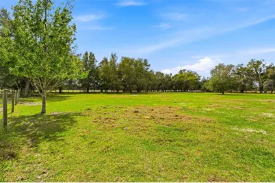 1353 Cr 738E, Webster, FL 33597 - Photo 3