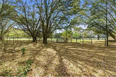 1353 Cr 738E, Webster, FL 33597 - Photo 7