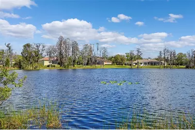 18709 Wayne Road, Odessa, FL 33556 - Photo 23