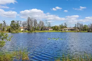 18709 Wayne Rd, Odessa, FL 33556 - Photo 23