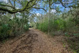 13021 Kite Rd, Weeki Wachee, FL 34614 - Photo 77