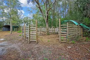 13021 Kite Rd, Weeki Wachee, FL 34614 - Photo 73