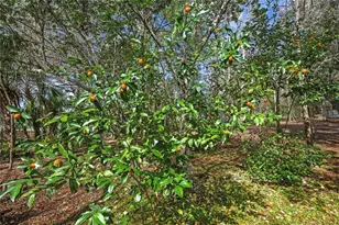 13021 Kite Rd, Weeki Wachee, FL 34614 - Photo 61