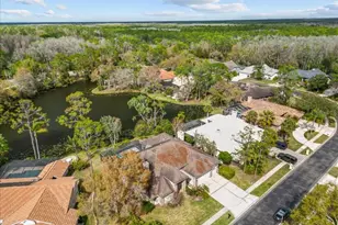 35 Greenhaven Trail, Oldsmar, FL 34677 - Photo 55