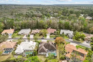 35 Greenhaven Trail, Oldsmar, FL 34677 - Photo 59