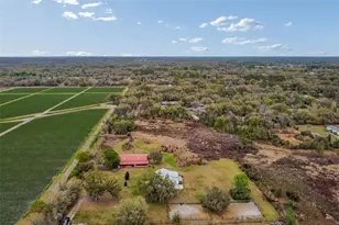 5614 Pless Rd, Plant City, FL 33565 - Photo 95