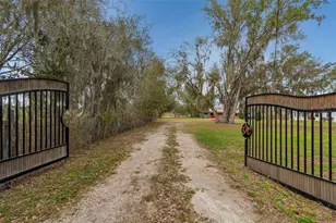 5614 Pless Rd, Plant City, FL 33565 - Photo 77