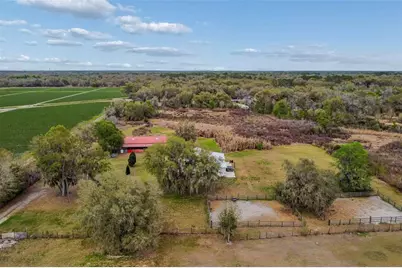 5614 Pless Road, Plant City, FL 33565 - Photo 97