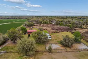 5614 Pless Rd, Plant City, FL 33565 - Photo 97