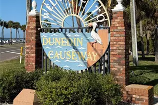 300 Woodette Dr, Dunedin, FL 34698 - Photo 29