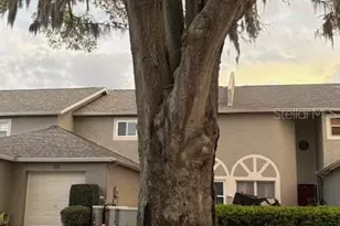 159 Hunter Ct, Palm Harbor, FL 34684 - Photo 47