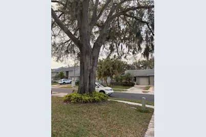159 Hunter Court #N/A, Palm Harbor, FL 34684 - Photo 47