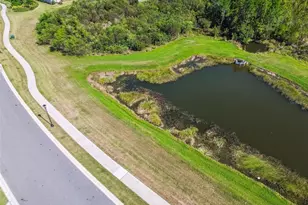 4399 Rosatti Rd, Wesley Chapel, FL 33543 - Photo 89