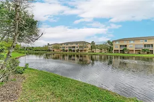 7169 Conch Blvd, Seminole, FL 33777 - Photo 27