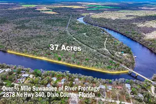 2878 NE 340 Hwy, Branford, FL 32008 - Photo 3
