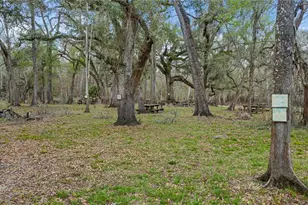 2878 NE 340 Hwy, Branford, FL 32008 - Photo 5