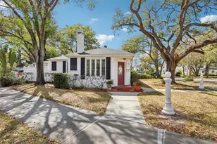 43 Aegean Ave, Tampa, FL 33606 - Photo 5