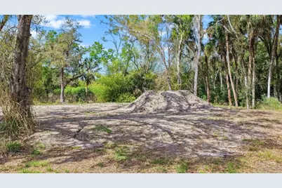 3106 Timberlee Road, Wimauma, FL 33598 - Photo 35