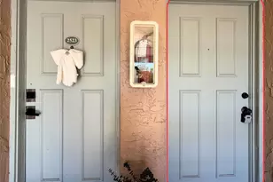 7210 N Manhattan Ave, Tampa, FL 33614 - Photo 3