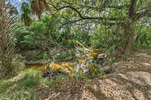 9824 Hound Chase Dr, Gibsonton, FL 33534 - Photo 65