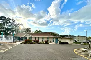 946 Virginia St, Dunedin, FL 34698 - Photo 29