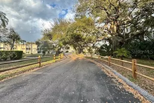 946 Virginia St, Dunedin, FL 34698 - Photo 23