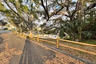 946 Virginia St, Dunedin, FL 34698 - Photo 25