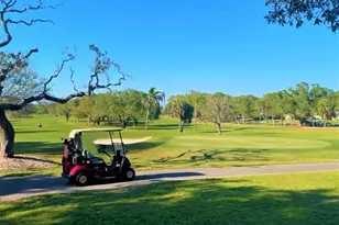 946 Virginia St, Dunedin, FL 34698 - Photo 47