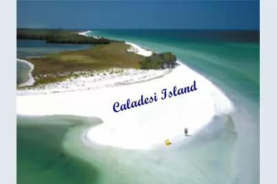 946 Virginia Street #104- J, Dunedin, FL 34698 - Photo 53