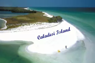 946 Virginia St, Dunedin, FL 34698 - Photo 53