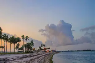 946 Virginia St, Dunedin, FL 34698 - Photo 63