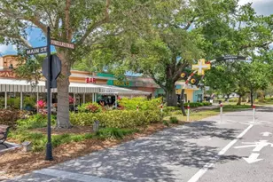 946 Virginia St, Dunedin, FL 34698 - Photo 49