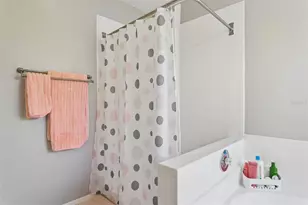 11817 Branch Mooring Dr, Tampa, FL 33635 - Photo 15