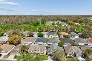 8816 Cypress Hammock Dr, Tampa, FL 33614 - Photo 31