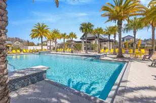 19828 Cypress Bridge, Odessa, FL 33556 - Photo 59