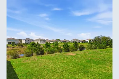 10885 Penny Gale Loop, San Antonio, FL 33576 - Photo 35