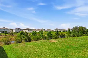 10885 Penny Gale Loop, San Antonio, FL 33576 - Photo 35