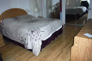 38 Deer Trail Ct, Safety Harbor, FL 34695 - Photo 17