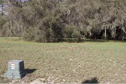 Silent Ridge Drive #47, Tavares, FL 32778 - Photo 33