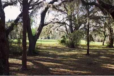 Silent Ridge Drive #47, Tavares, FL 32778 - Photo 25