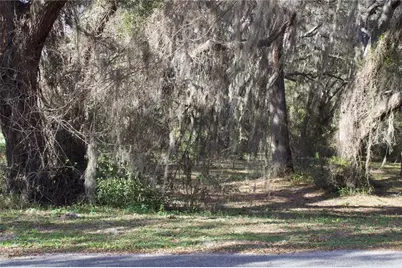 Silent Ridge Drive #47, Tavares, FL 32778 - Photo 29