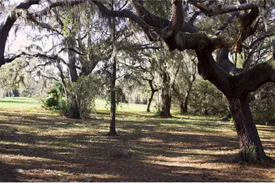 Silent Ridge Drive #47, Tavares, FL 32778 - Photo 27